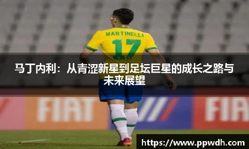 马丁内利：从青涩新星到足坛巨星的成长之路与未来展望